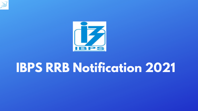 ibps rrb po & clerk notification